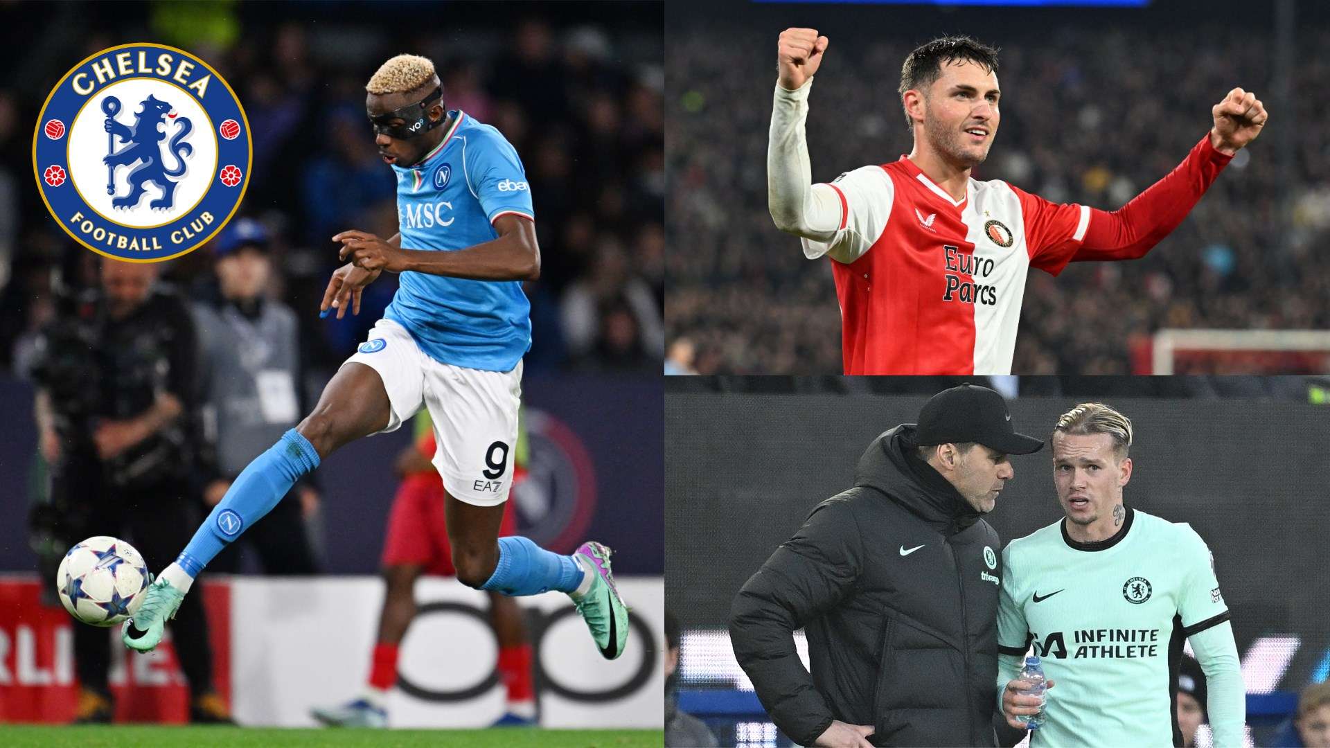 他的职业生 他的职业生